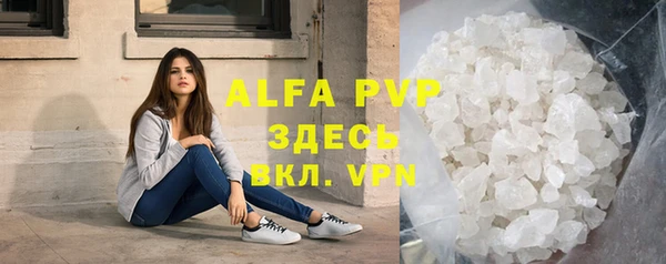 твердый Абаза