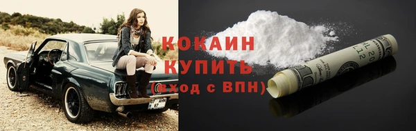 твердый Абаза