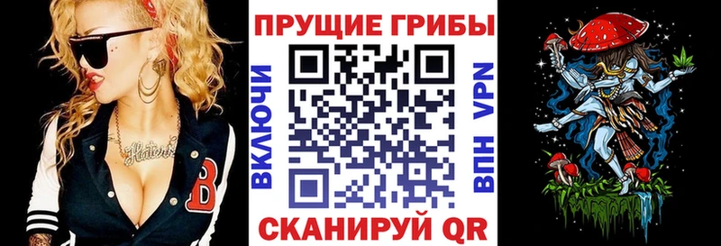 Галлюциногенные грибы GOLDEN TEACHER  Красноармейск 